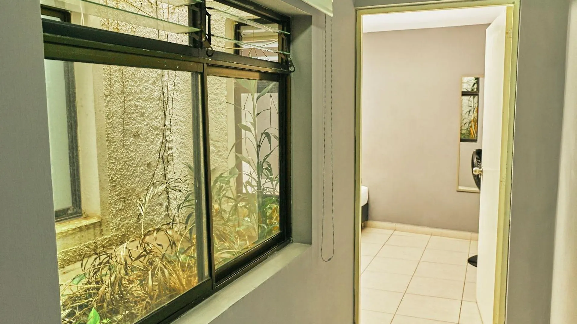 Apartamentos Y Loft Laureles Medellin Apartment