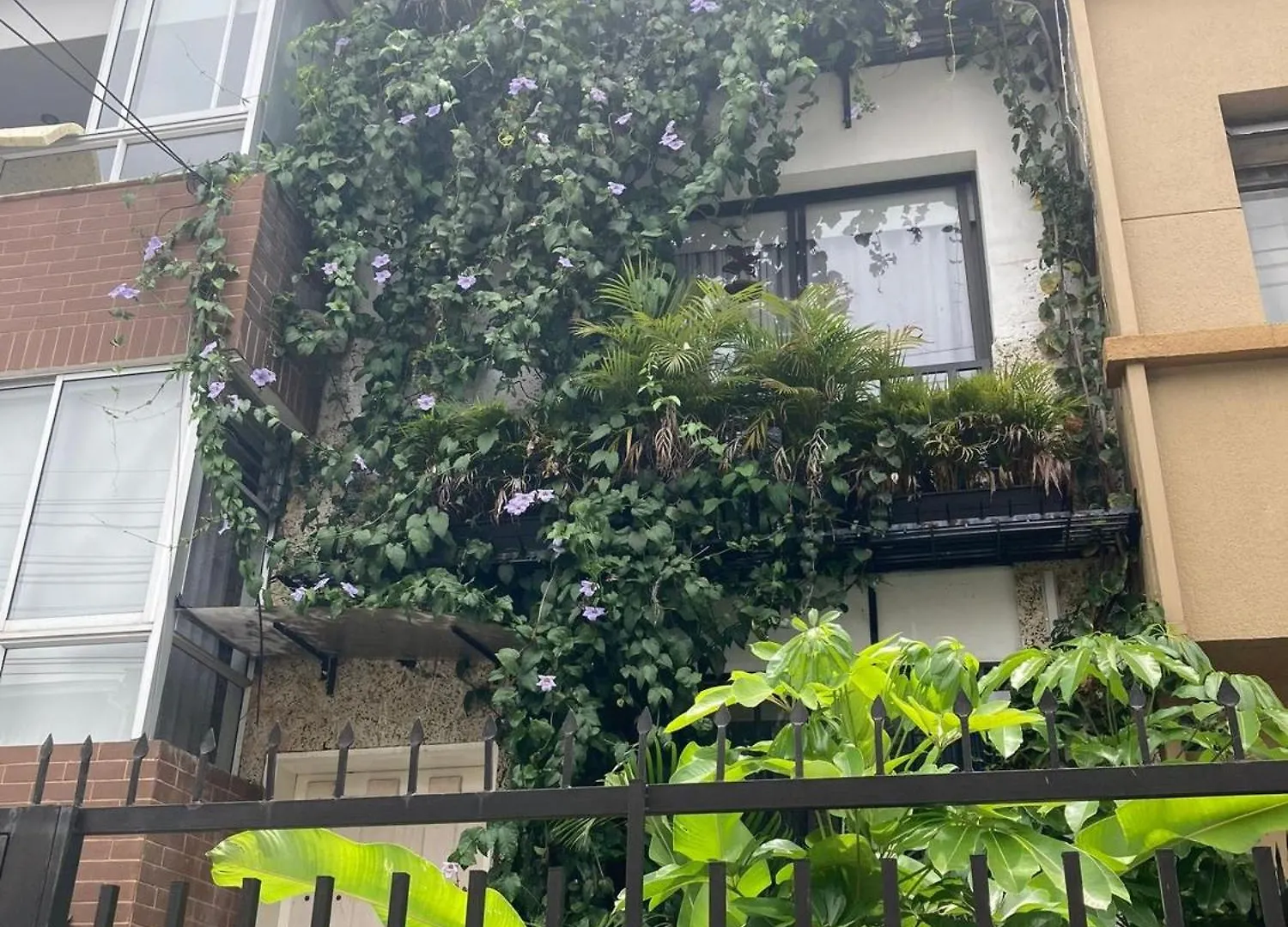 Apartamentos Y Loft Laureles location